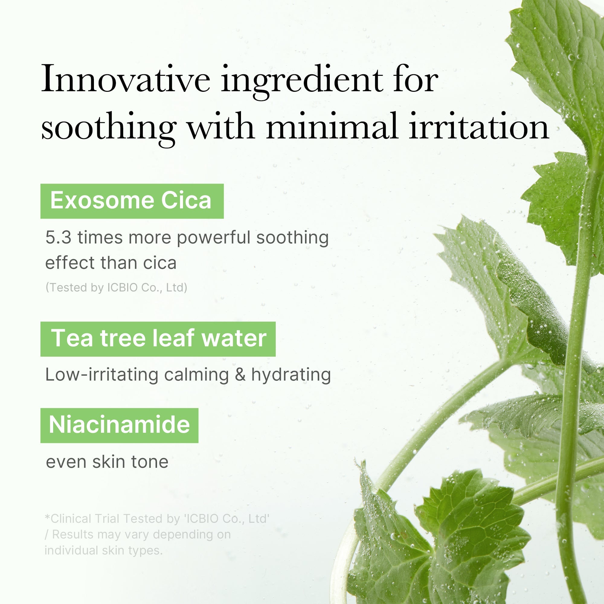Exosome Cica Calming Toner Pads K2
